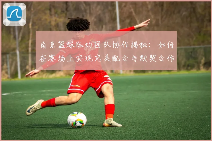南京篮球队的团队协作揭秘：如何在赛场上实现完美配合与默契合作