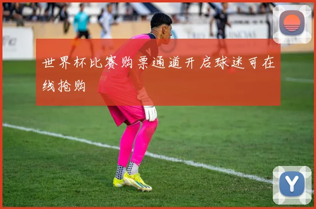世界杯比赛购票通道开启球迷可在线抢购