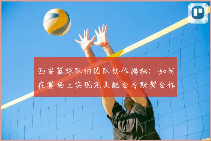 西安篮球队的团队协作揭秘：如何在赛场上实现完美配合与默契合作
