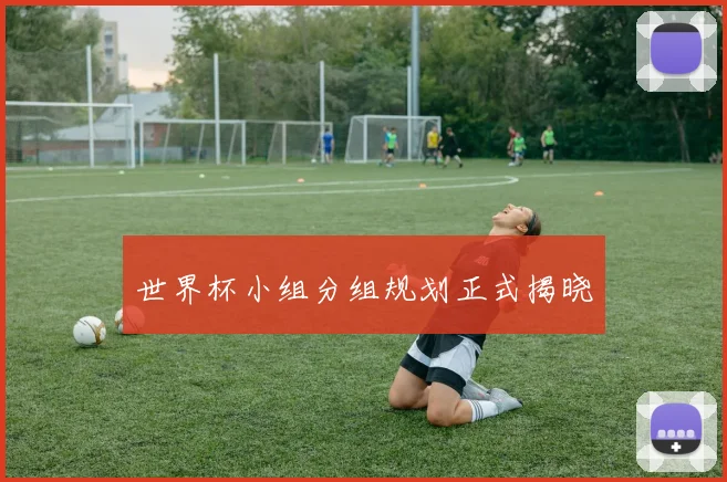 世界杯小组分组规划正式揭晓
