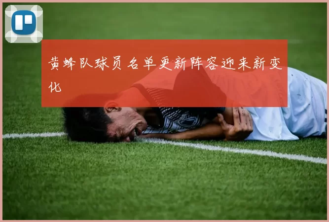 黄蜂队球员名单更新阵容迎来新变化