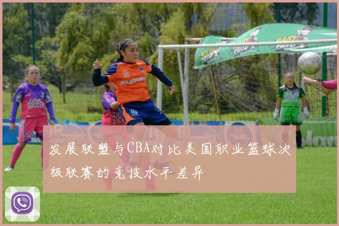 发展联盟与CBA对比美国职业篮球次级联赛的竞技水平差异