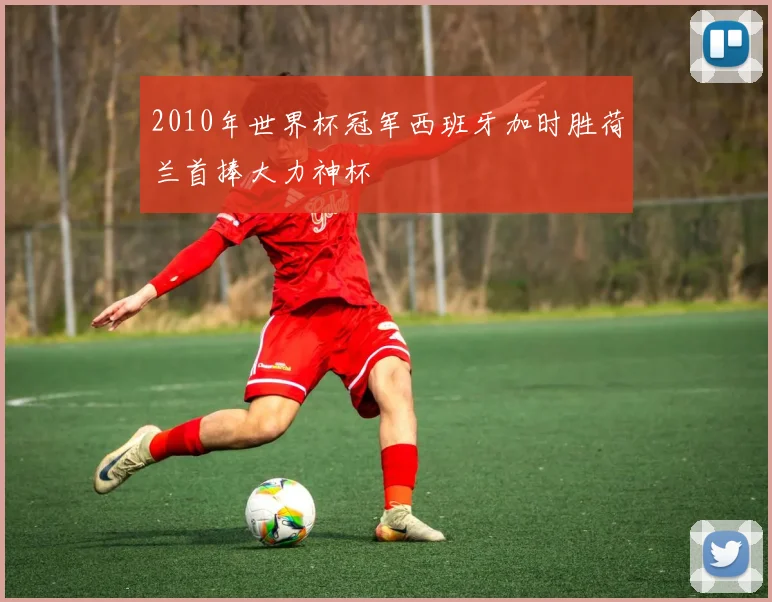 2010年世界杯冠军西班牙加时胜荷兰首捧大力神杯