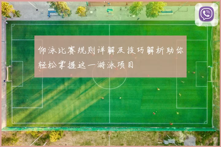 仰泳比赛规则详解及技巧解析助你轻松掌握这一游泳项目