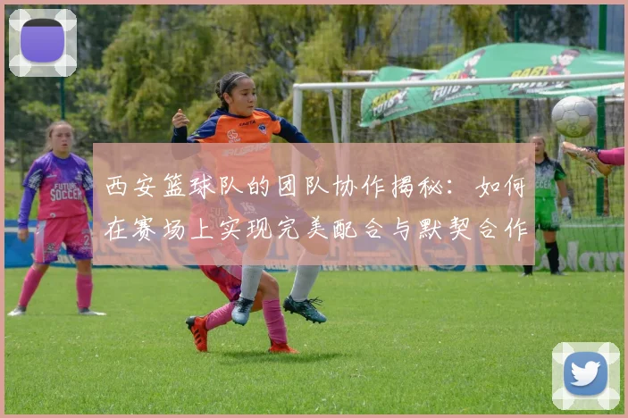 西安篮球队的团队协作揭秘：如何在赛场上实现完美配合与默契合作