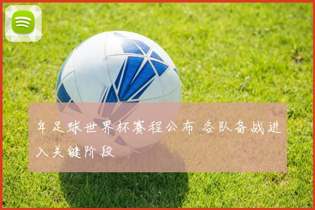 年足球世界杯赛程公布 各队备战进入关键阶段