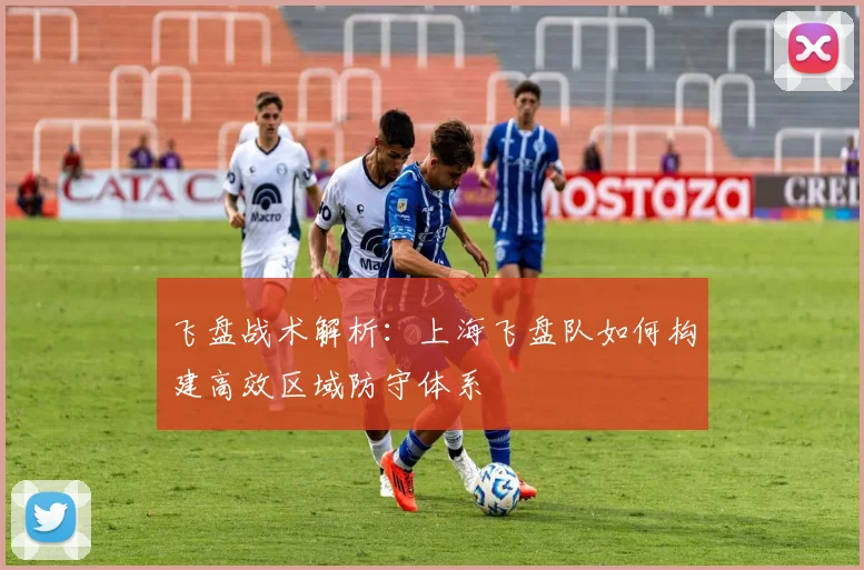 飞盘战术解析：上海飞盘队如何构建高效区域防守体系