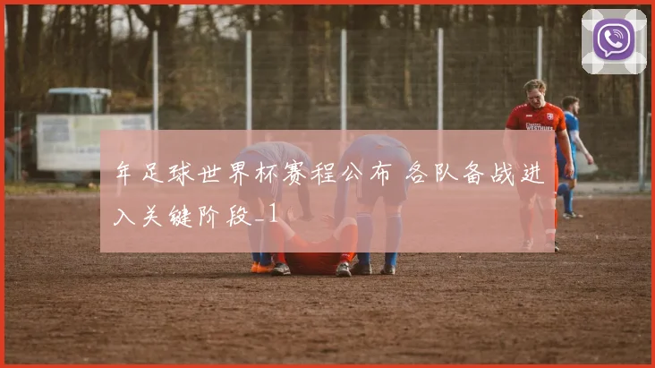 年足球世界杯赛程公布 各队备战进入关键阶段_1