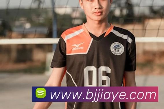 App Interface Preview