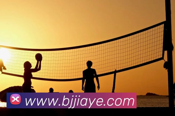 九游体育APP 封面图